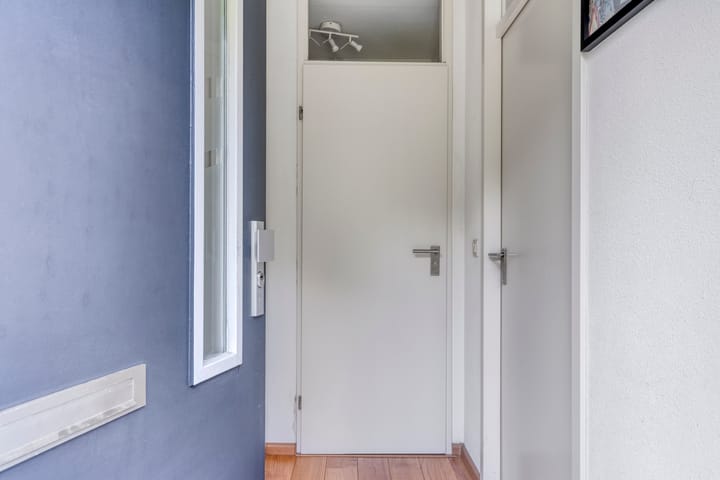 Foto 5 van Perzikkruid 28