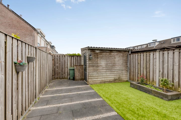 Foto 28 van Perzikkruid 28