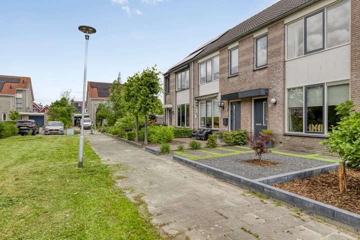 Foto 29 van Perzikkruid 28