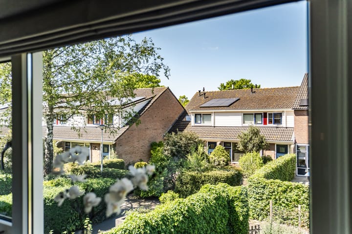 Foto 22 van Romeinlaan 28