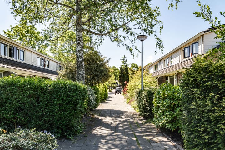 Foto 38 van Romeinlaan 28