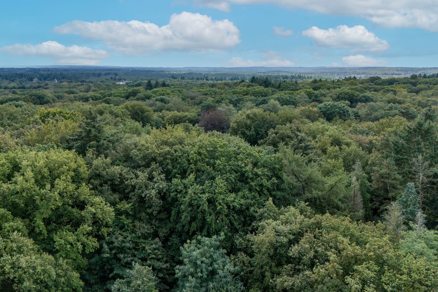 Foto 40 van Utrechtseweg 198