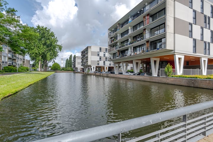 Foto 24 van Plein 1953 244