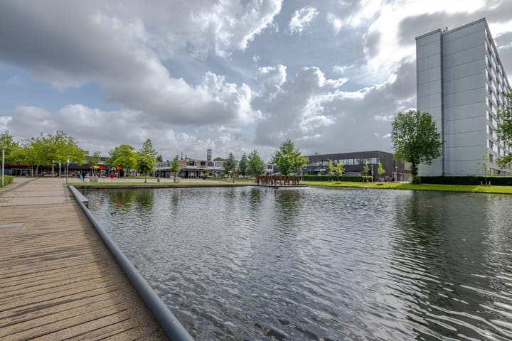 Foto 25 van Plein 1953 244