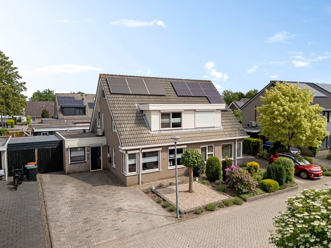 Foto 1 van Postduif 11