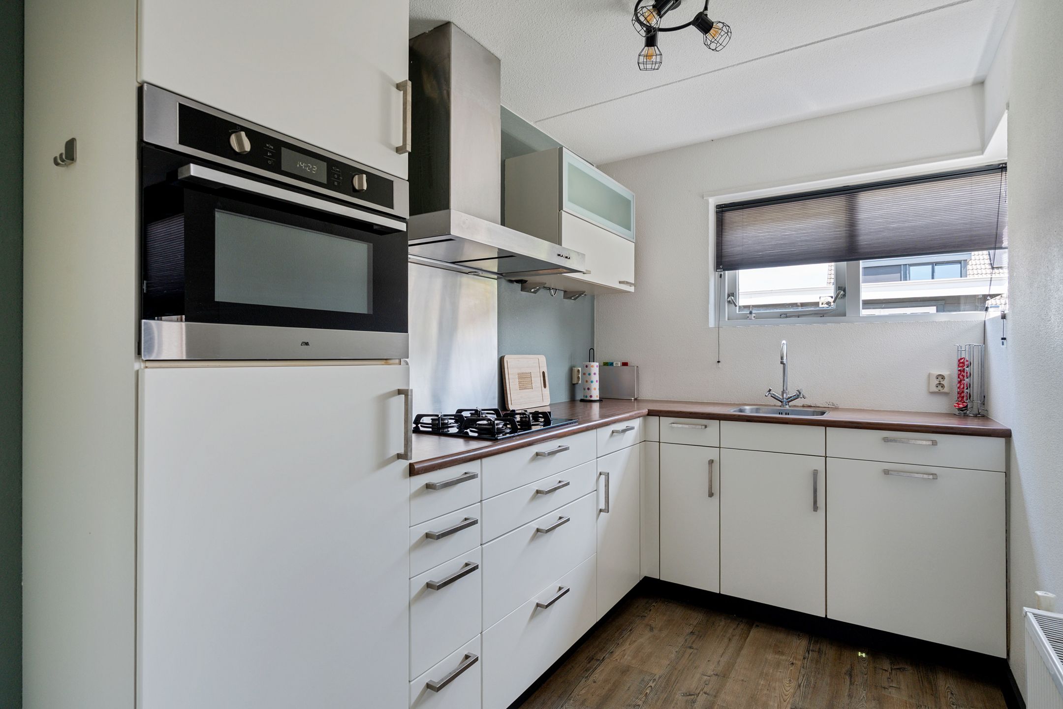 Foto 3 van Postduif 11