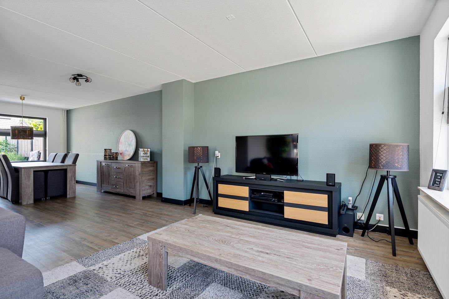 Foto 4 van Postduif 11