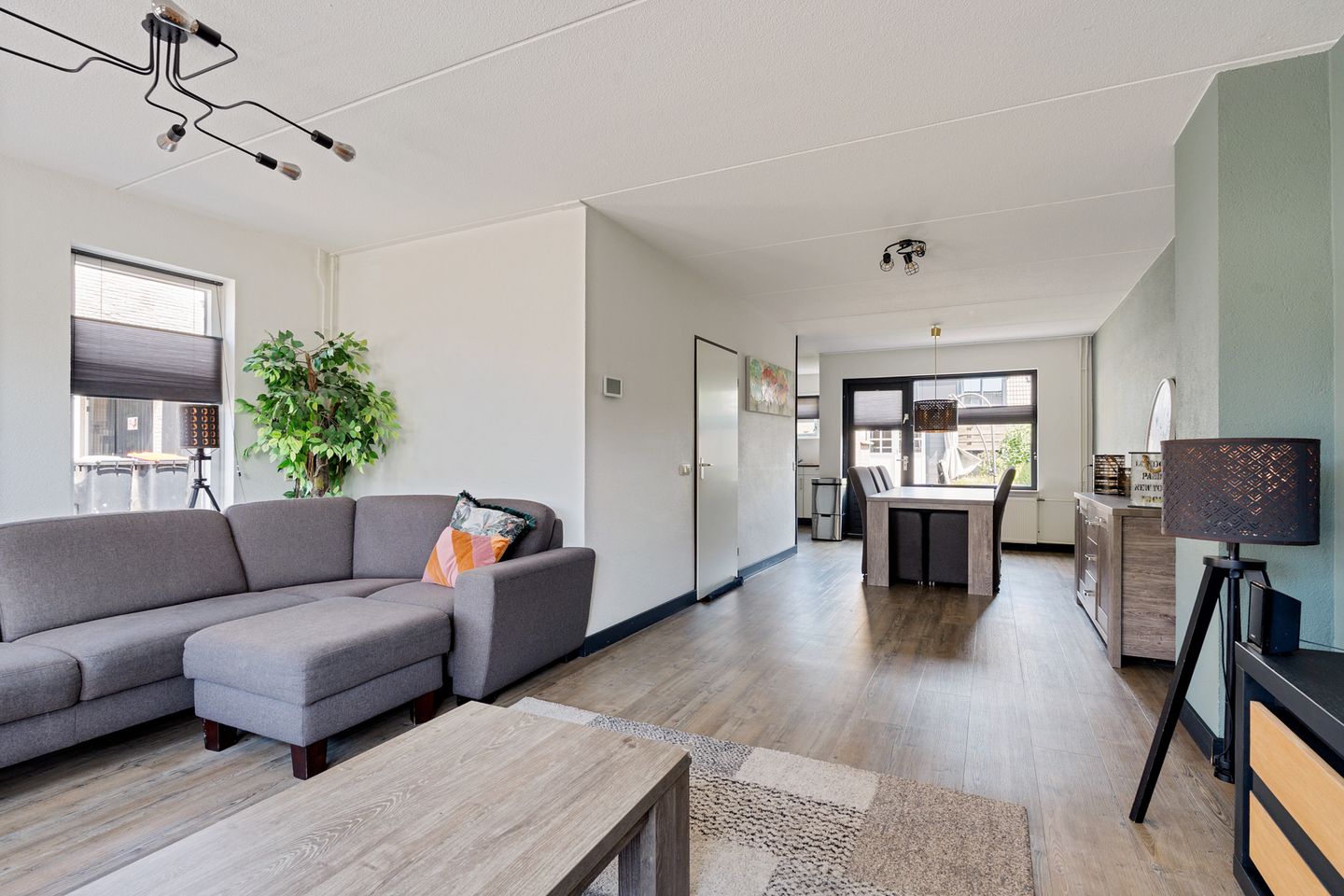 Foto 5 van Postduif 11