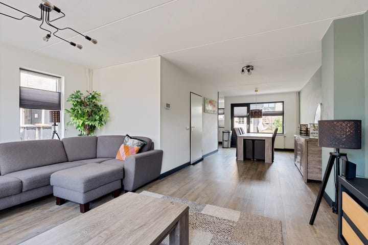 Foto 5 van Postduif 11