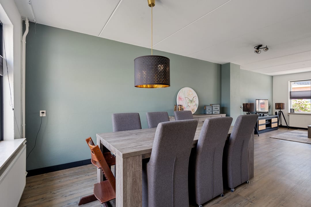 Foto 7 van Postduif 11