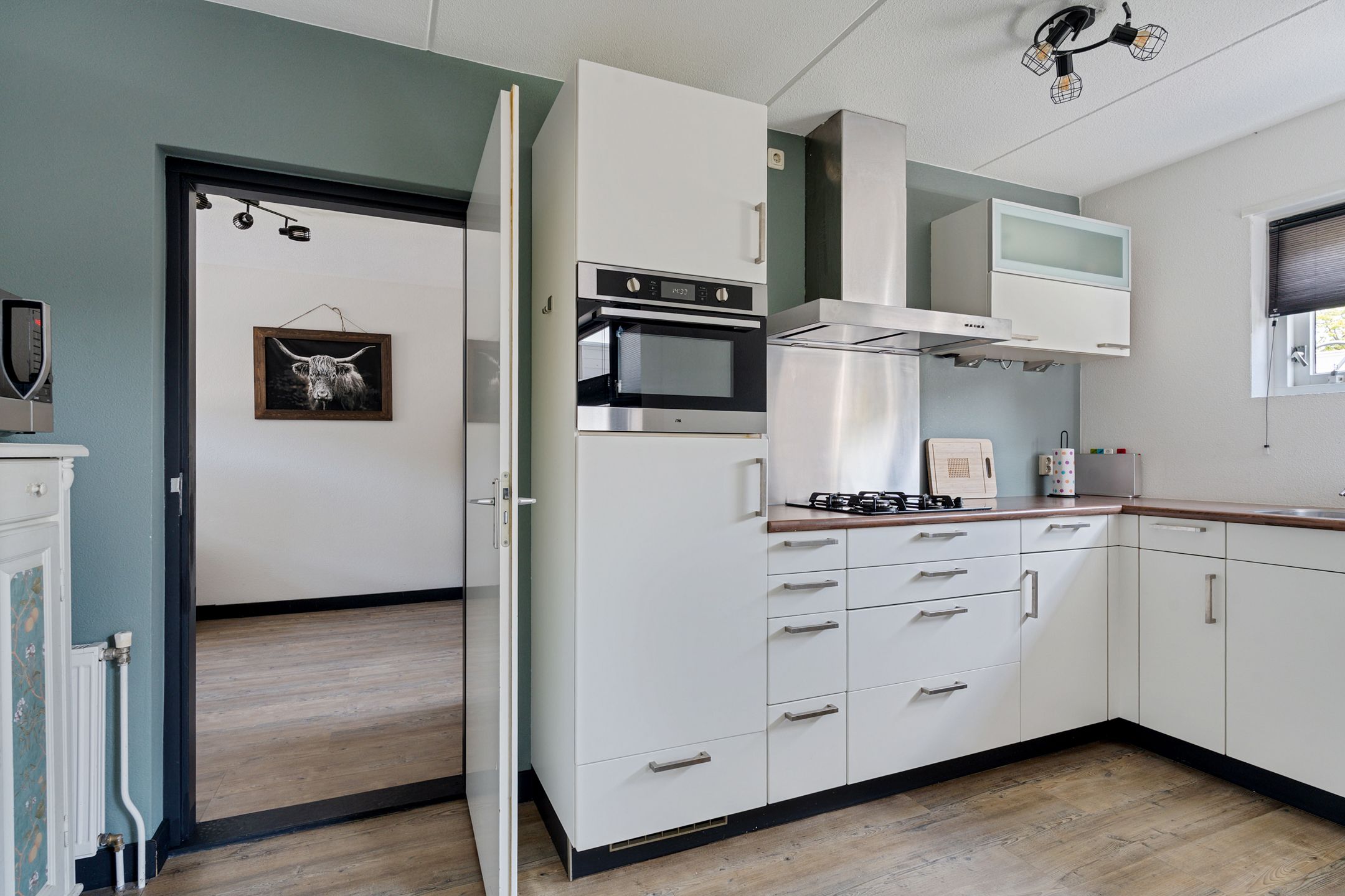 Foto 9 van Postduif 11