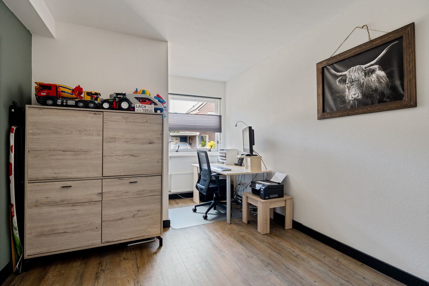 Foto 10 van Postduif 11