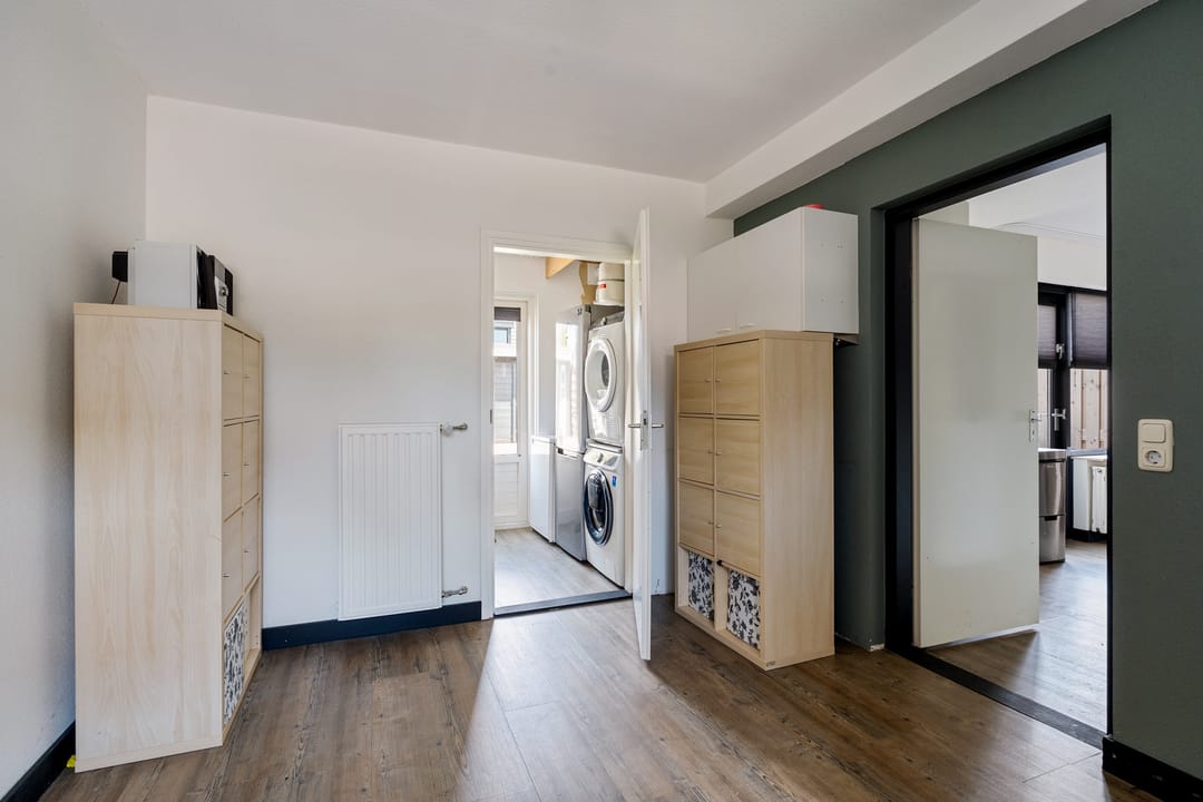 Foto 11 van Postduif 11