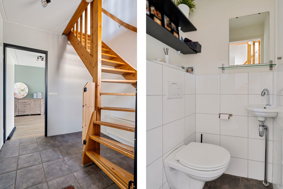 Foto 13 van Postduif 11