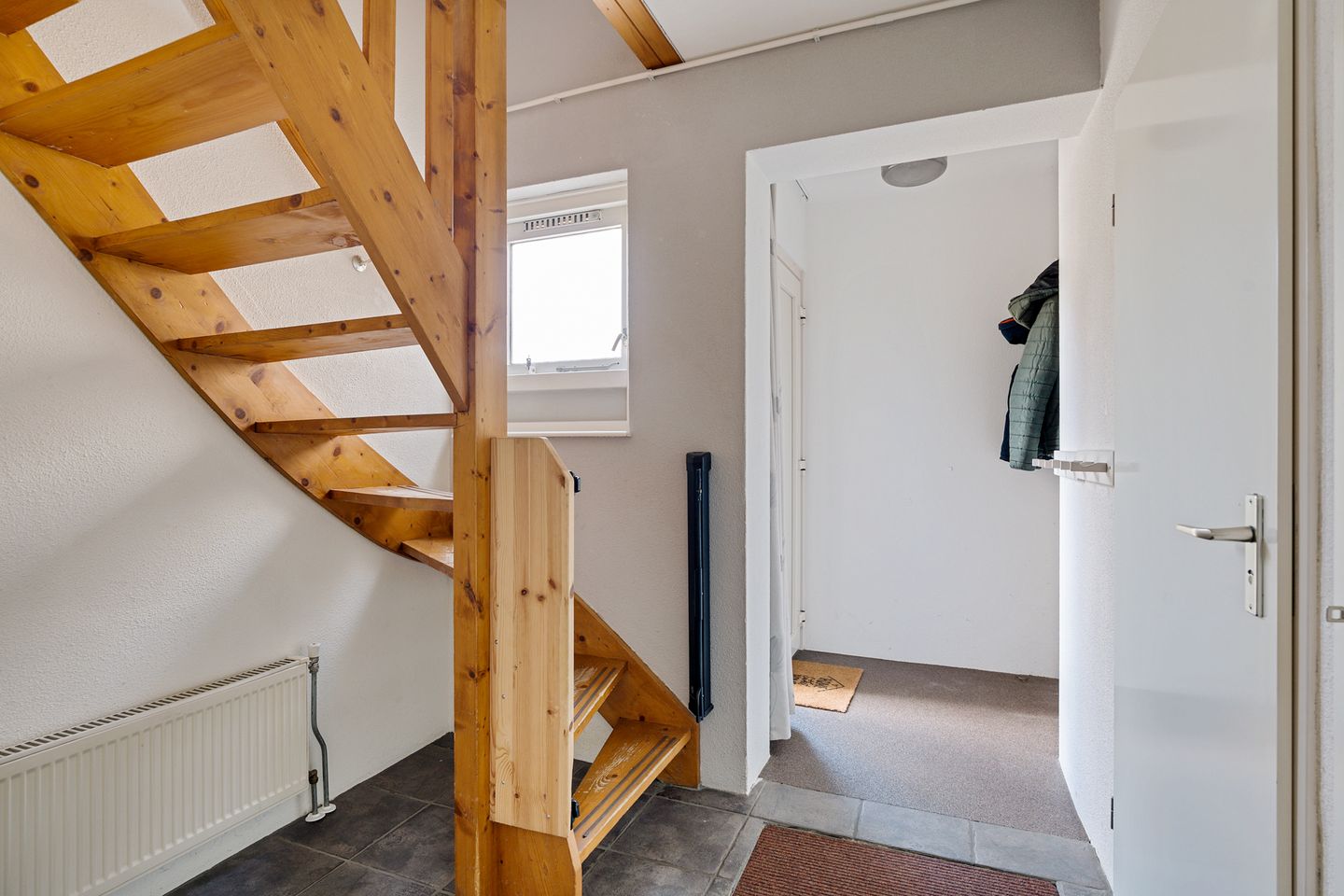 Foto 14 van Postduif 11