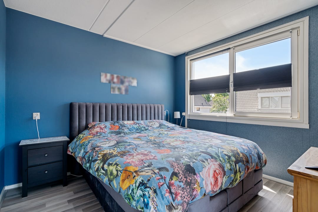 Foto 16 van Postduif 11