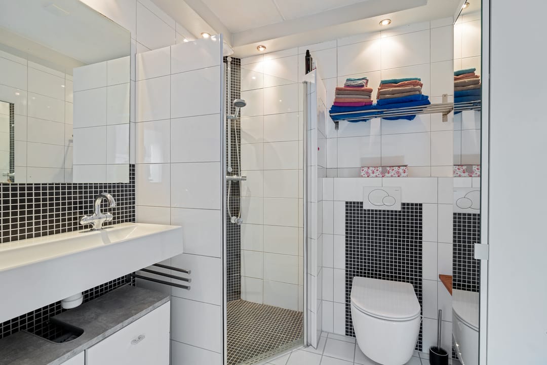 Foto 22 van Postduif 11