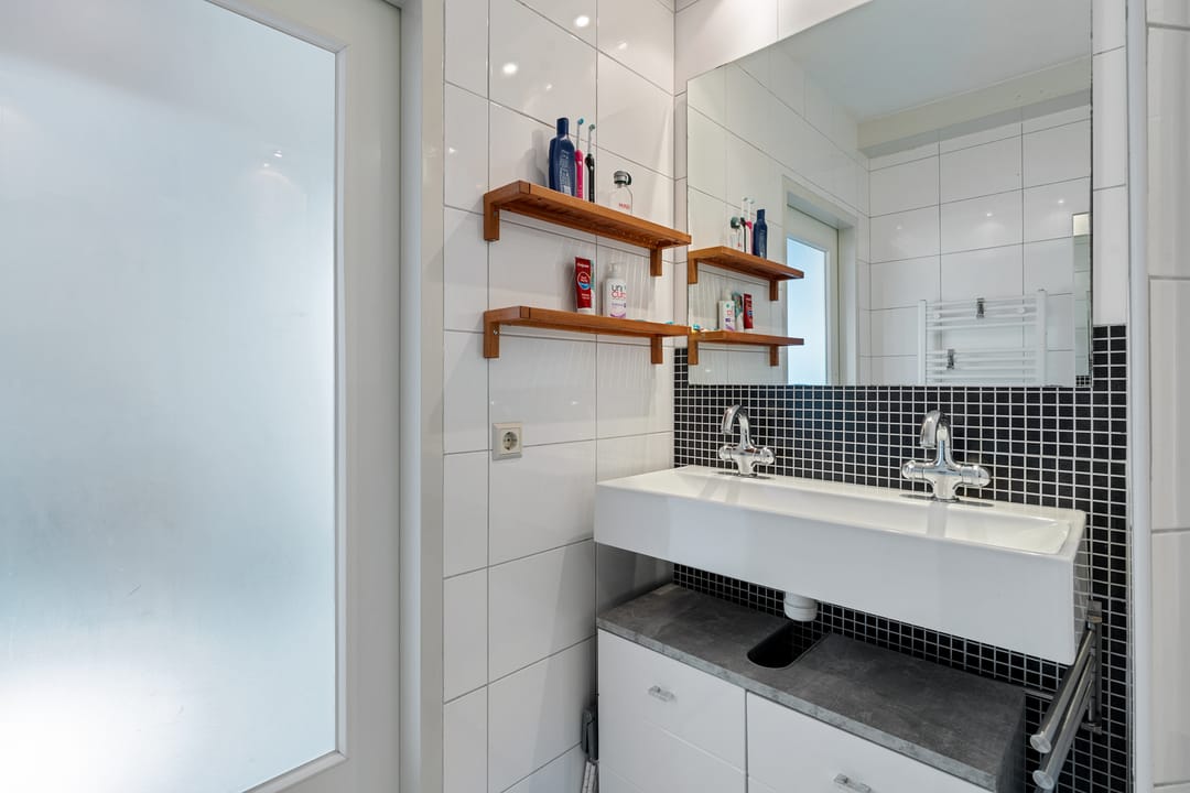 Foto 23 van Postduif 11