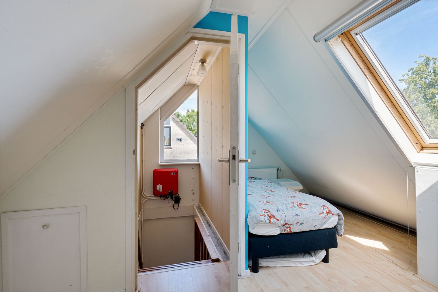 Foto 25 van Postduif 11