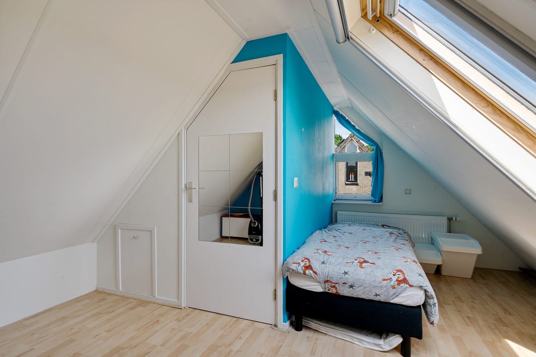 Foto 26 van Postduif 11