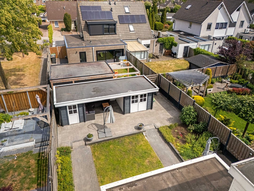 Foto 28 van Postduif 11