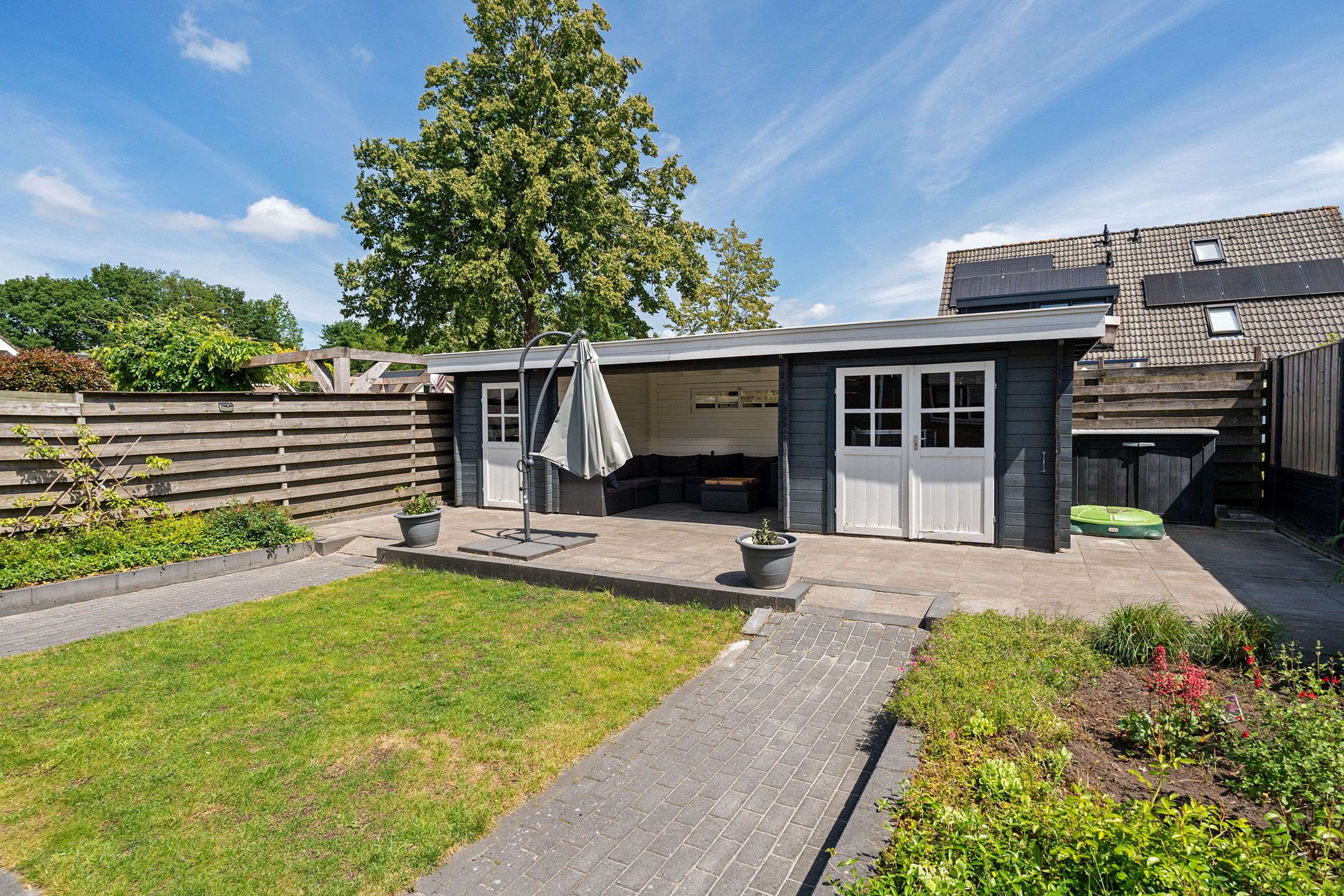 Foto 30 van Postduif 11