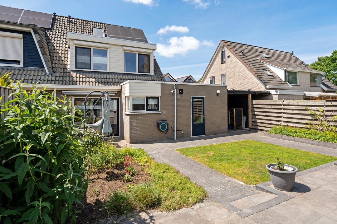 Foto 32 van Postduif 11