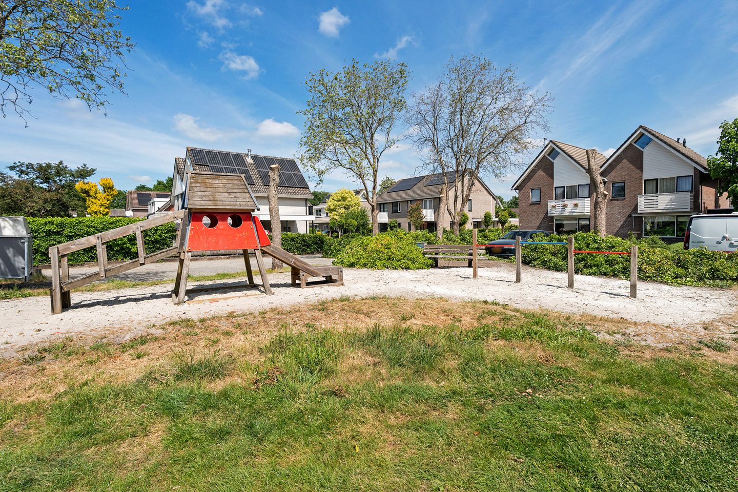 Foto 34 van Postduif 11