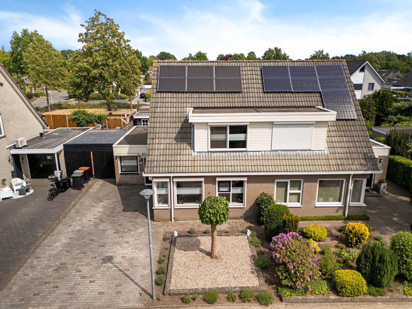 Foto 35 van Postduif 11