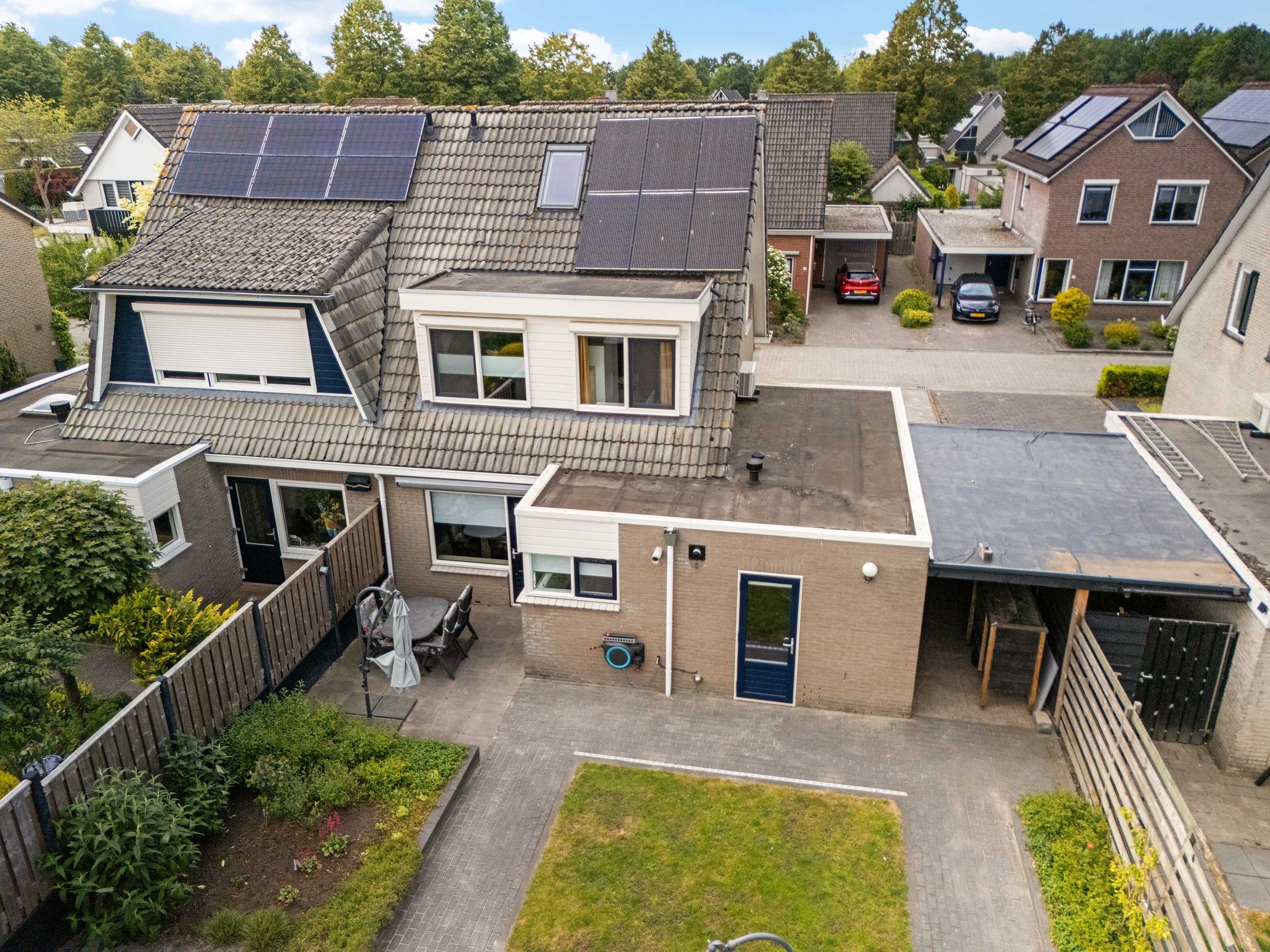 Foto 36 van Postduif 11