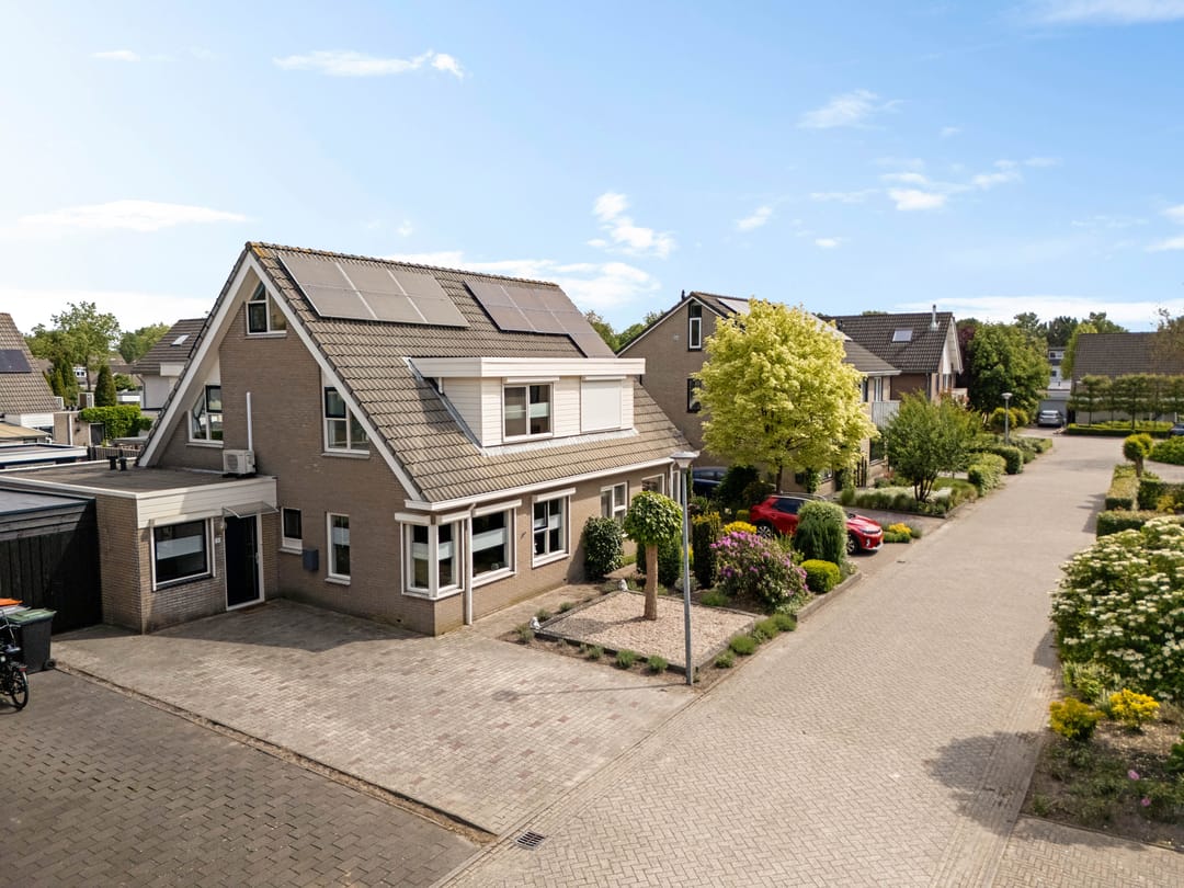 Foto 37 van Postduif 11