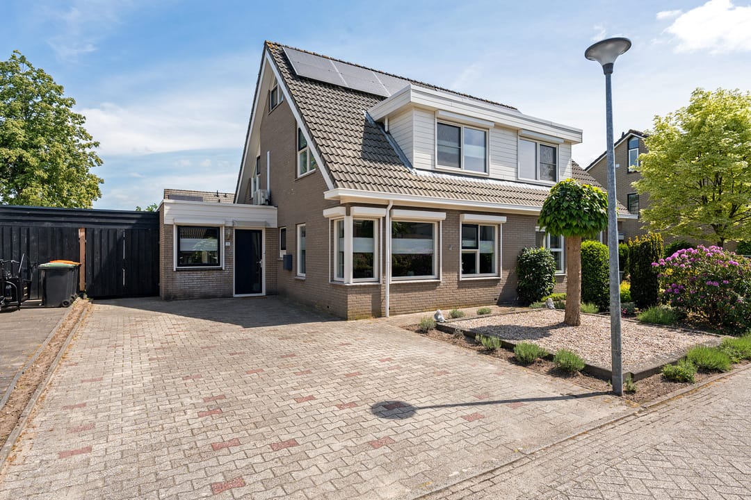 Foto 38 van Postduif 11