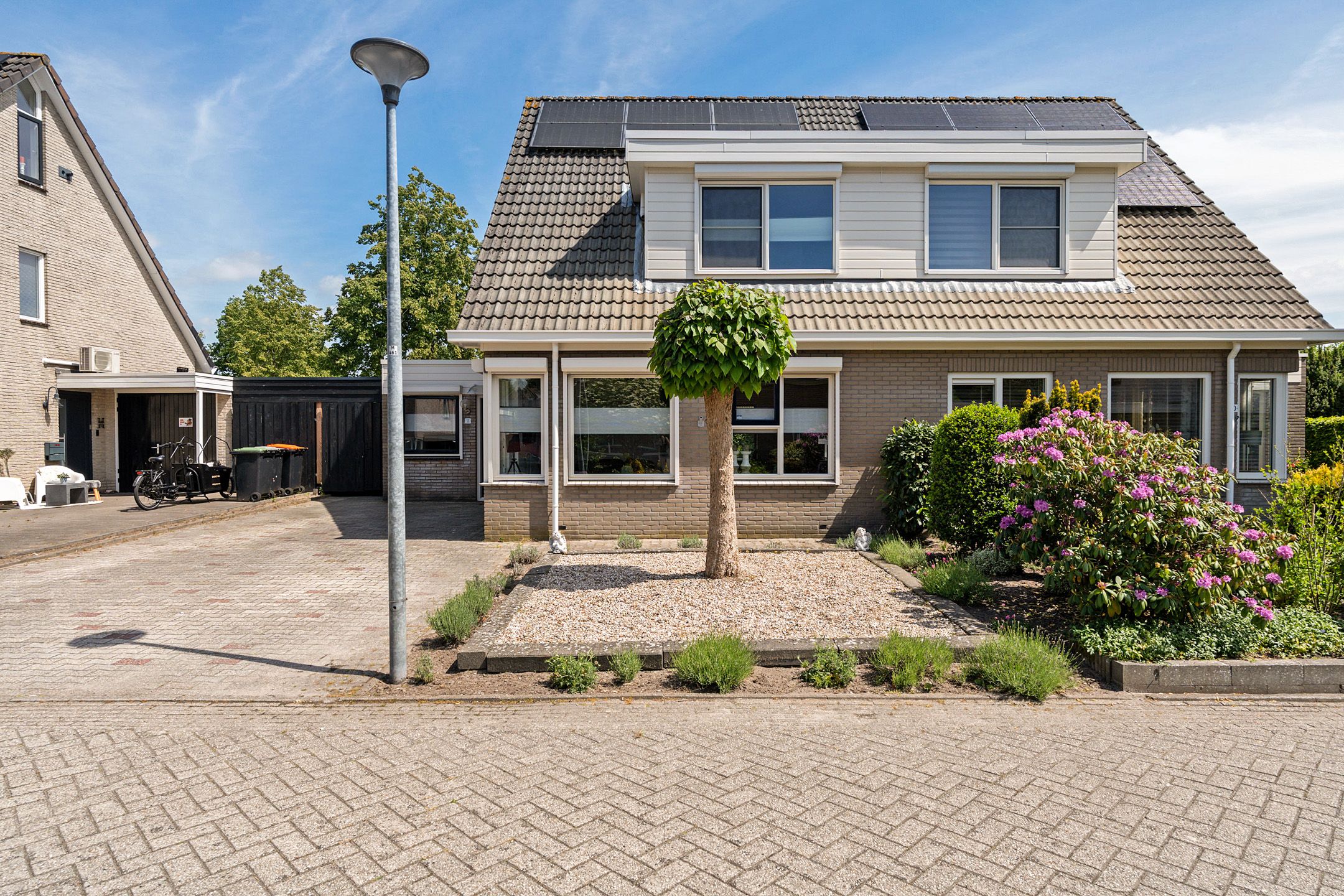 Foto 39 van Postduif 11