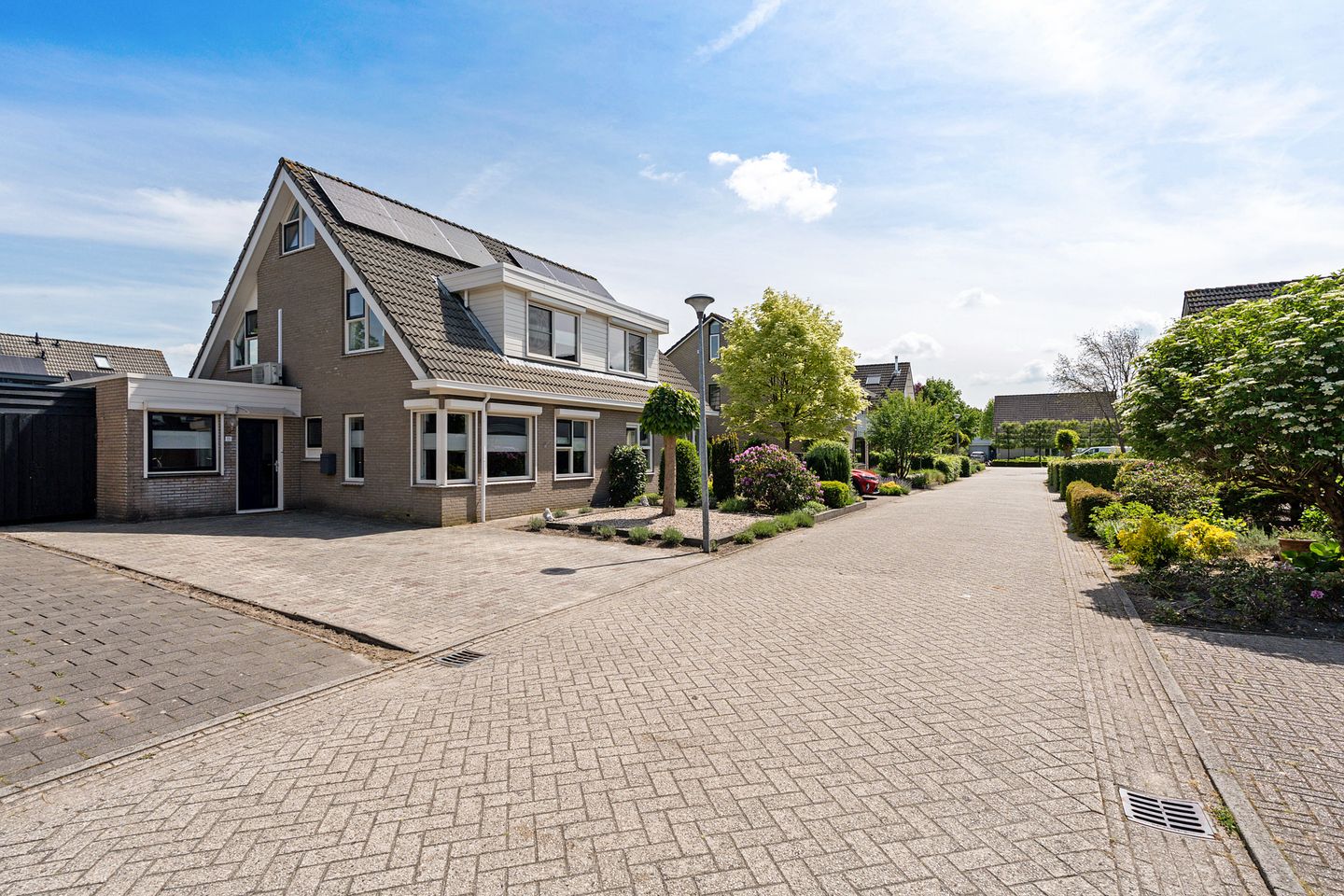 Foto 40 van Postduif 11