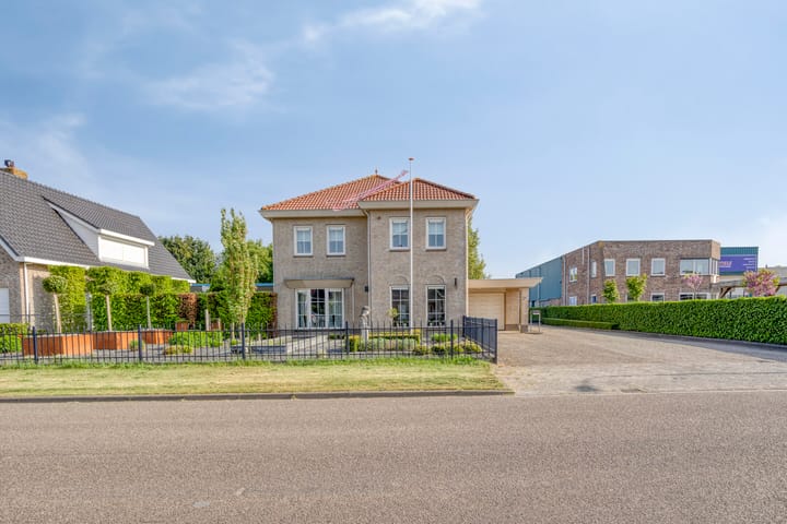 Foto 5 van Struikhei 6