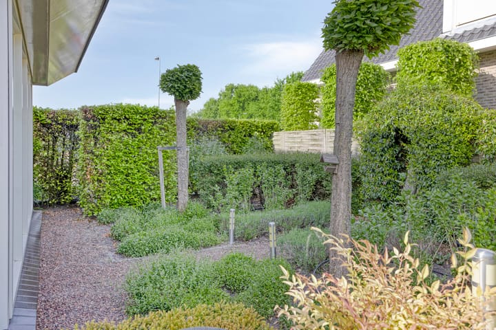 Foto 54 van Struikhei 6