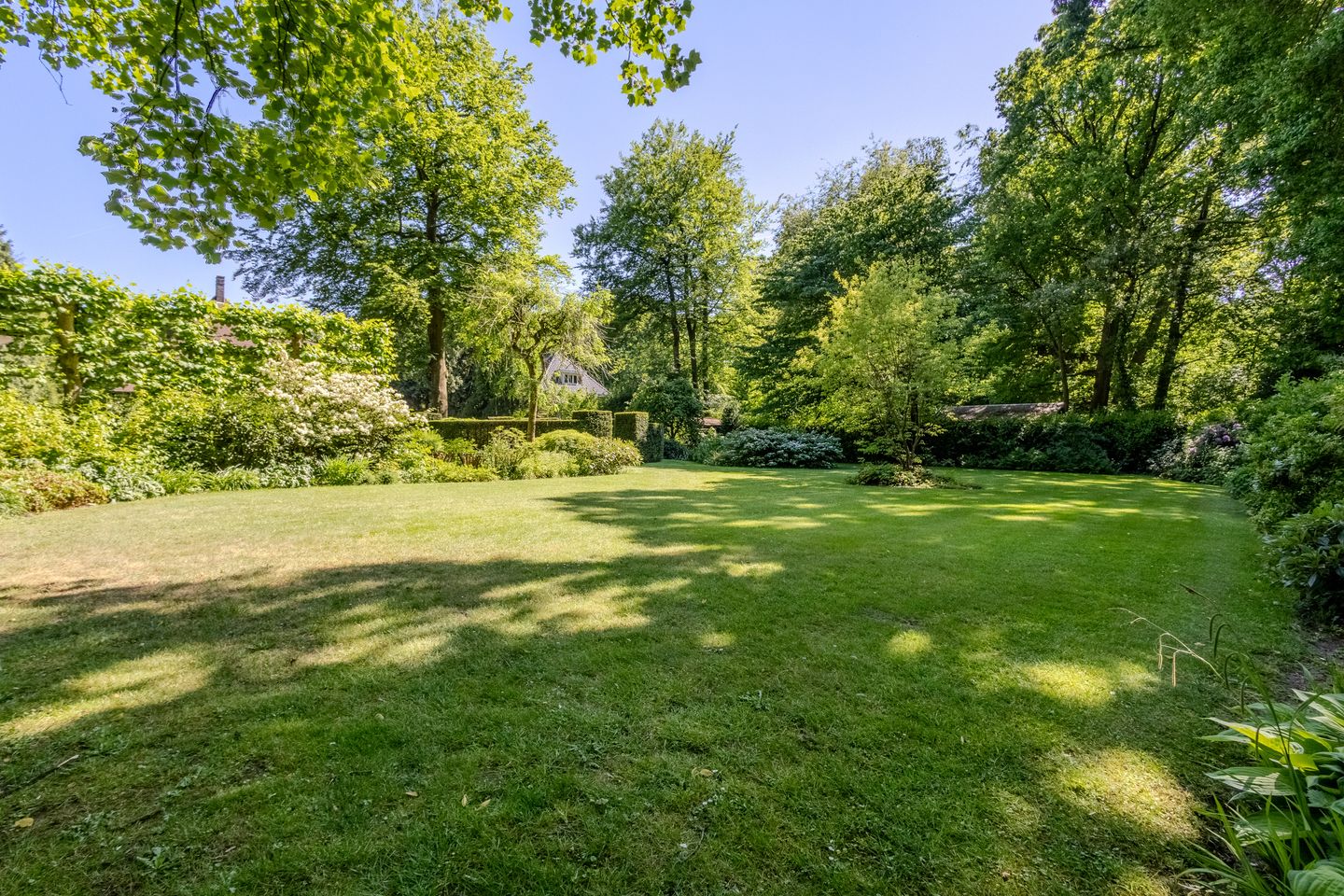 Foto 5 van Heisteeg 6