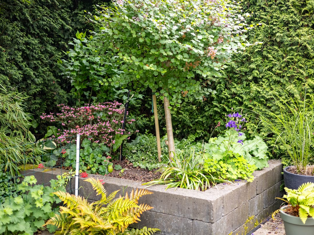 Foto 28 van le Maitreweg 8