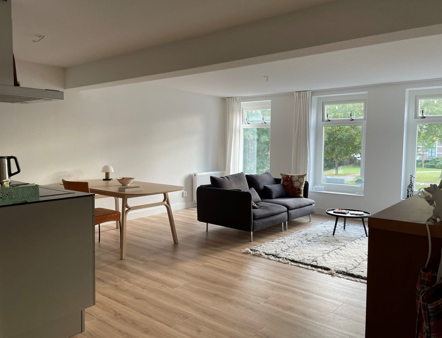 Foto 4 van Willemskade 3-D