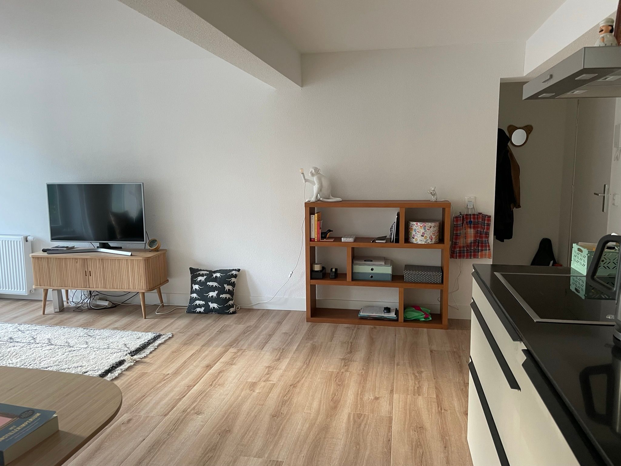 Foto 6 van Willemskade 3-D