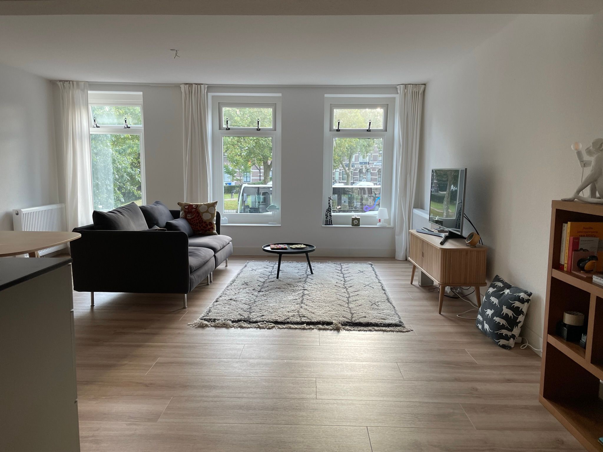 Foto 3 van Willemskade 3-D