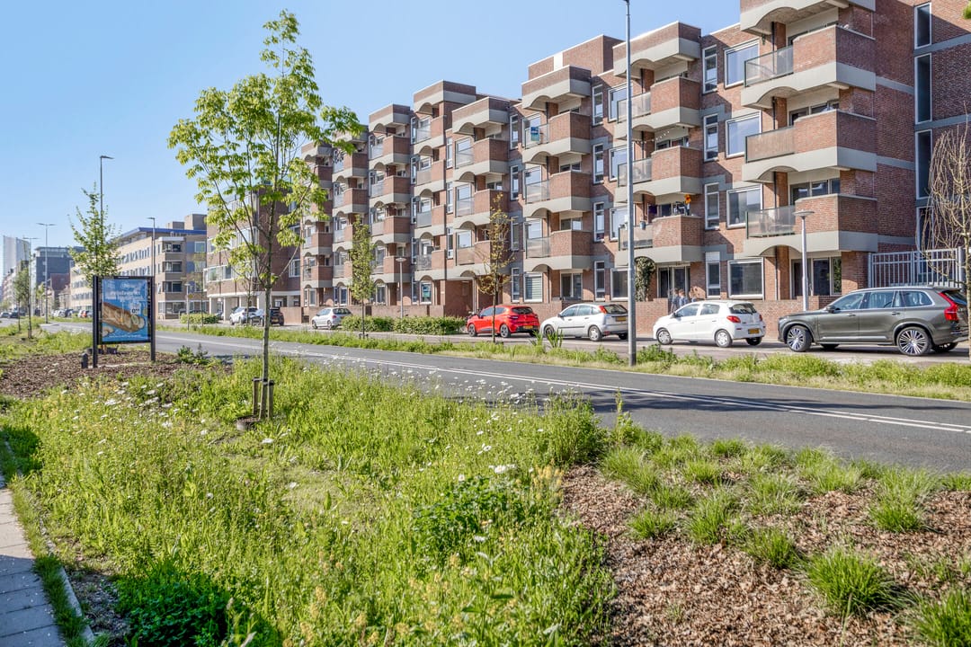 Photo 23 of Boschdijk 209-B