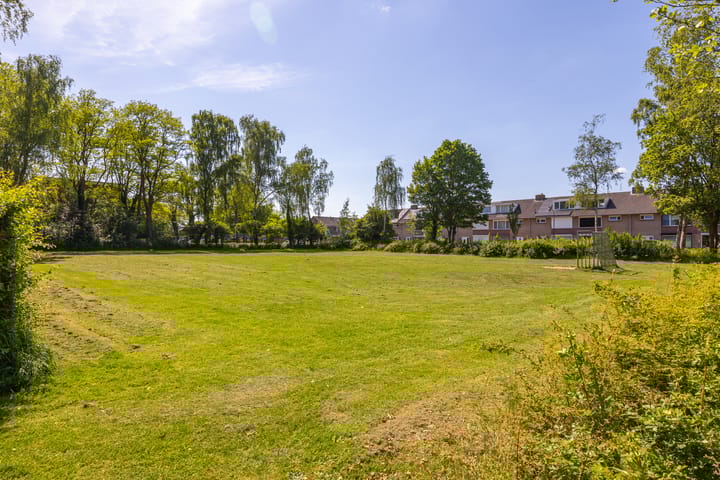 Foto 41 van Dahliastraat 67