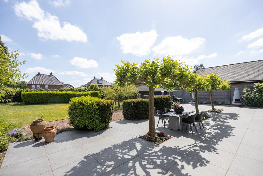 Photo 52 of Rodenburg 23