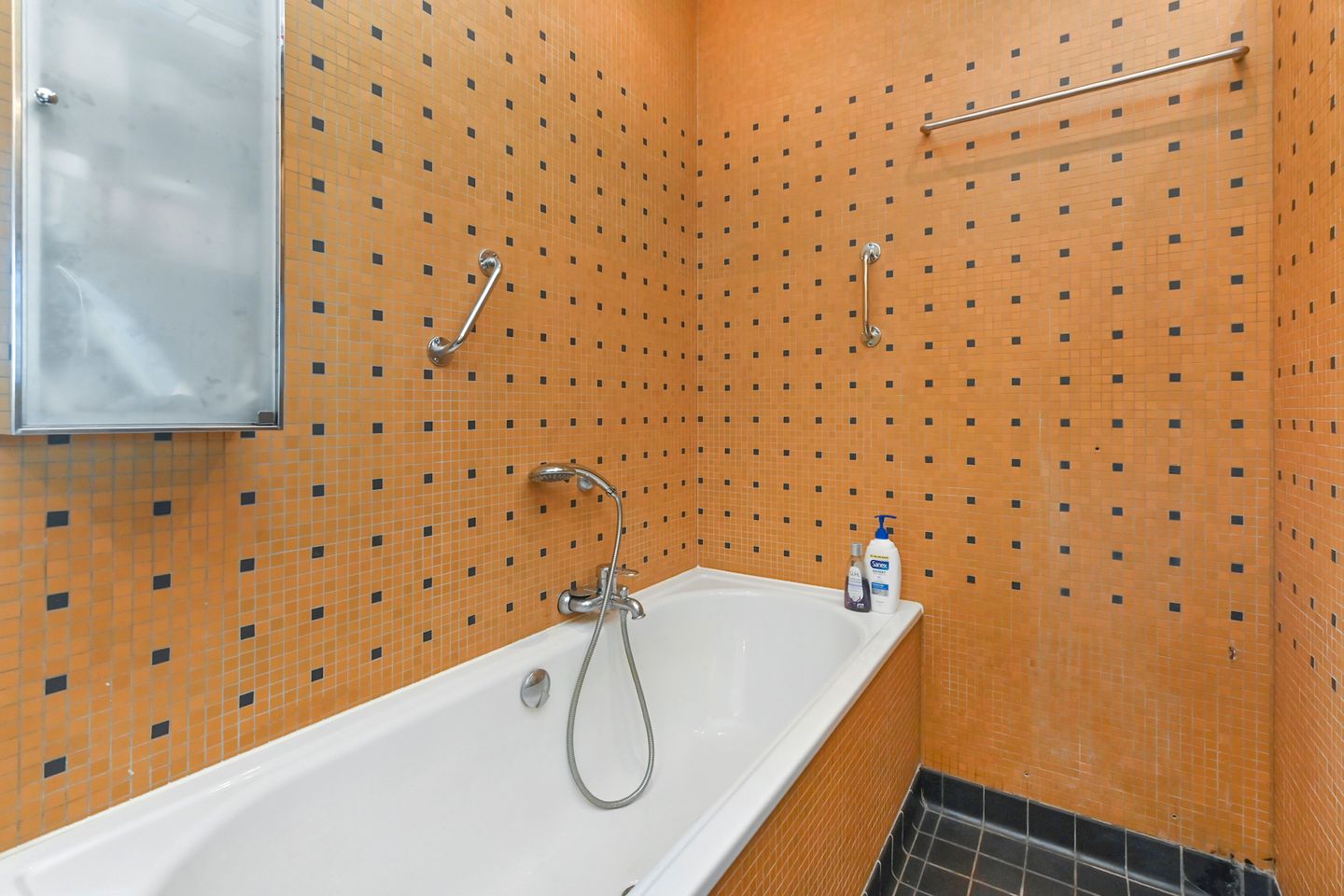 Foto 44 van Van Alkemadelaan 350-412