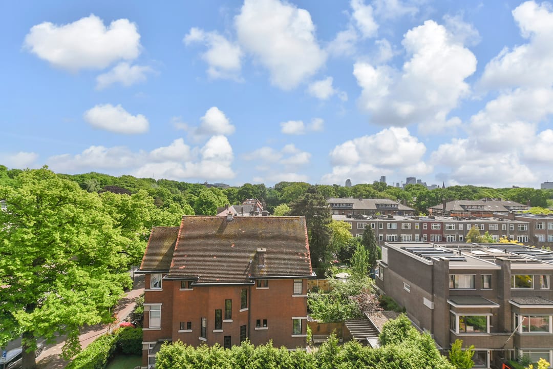 Foto 46 van Van Alkemadelaan 350-412