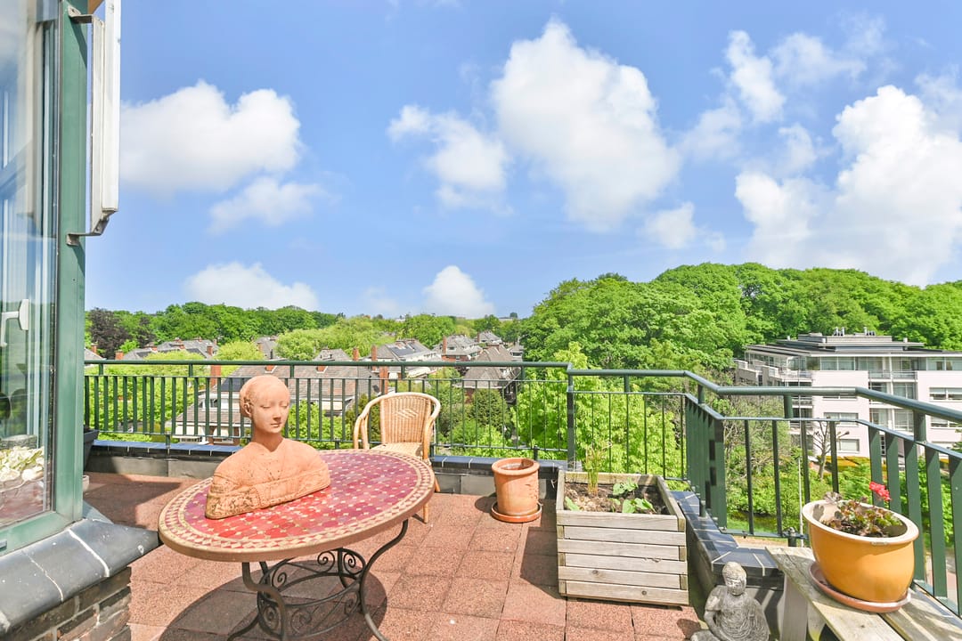 Foto 53 van Van Alkemadelaan 350-412