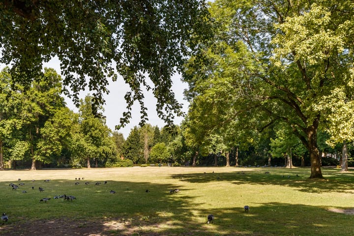 Foto 23 van Herman Modedstraat 20