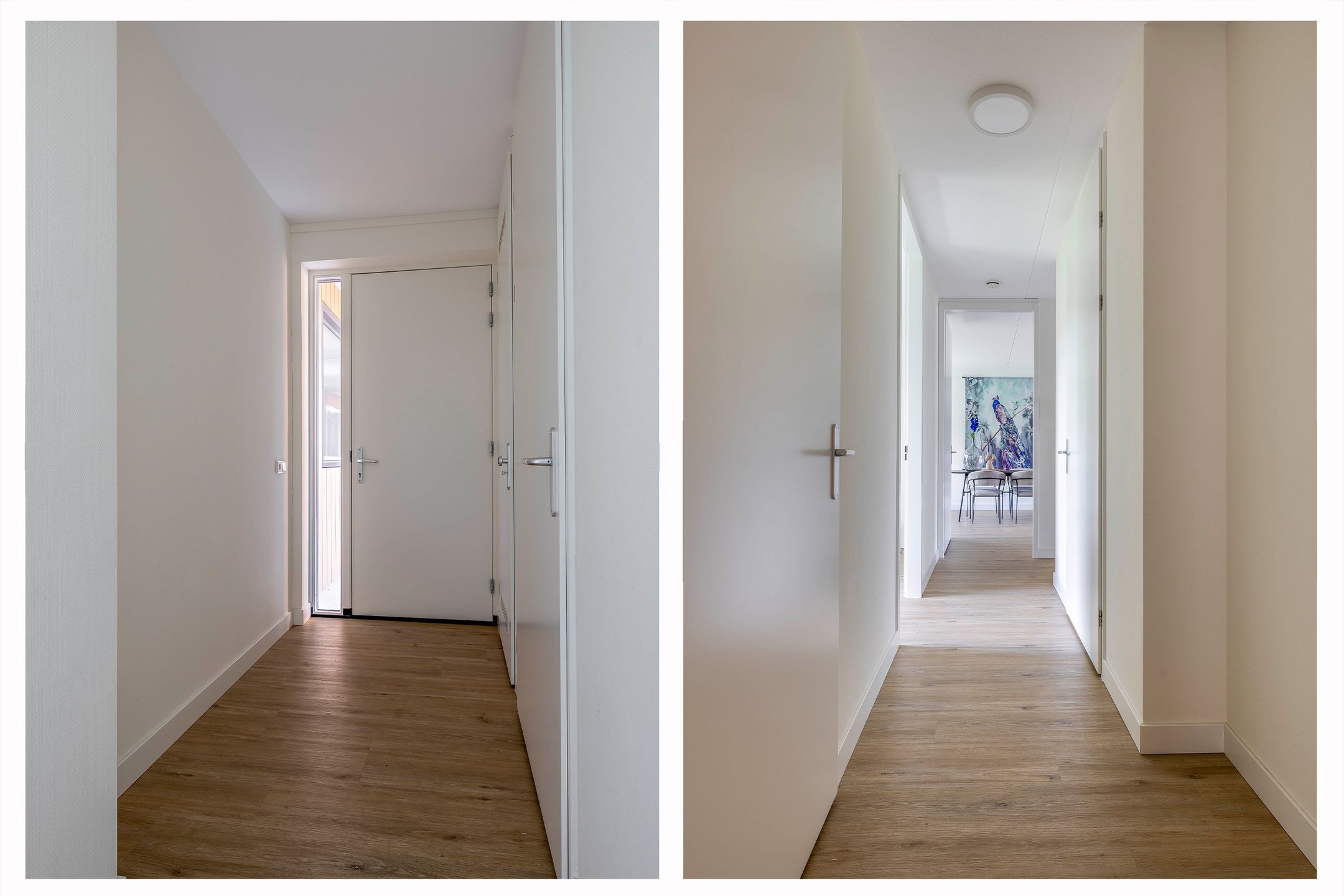 Photo 12 of Goudvisstraat 38