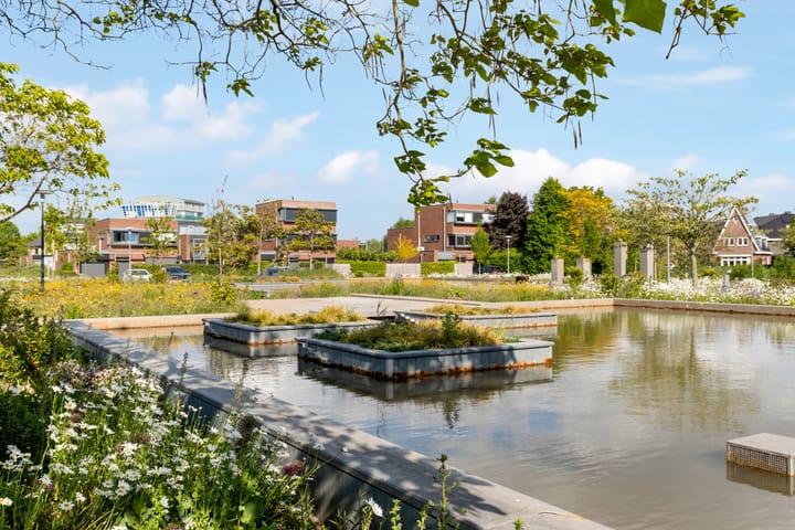 Foto 31 van Kompas 9